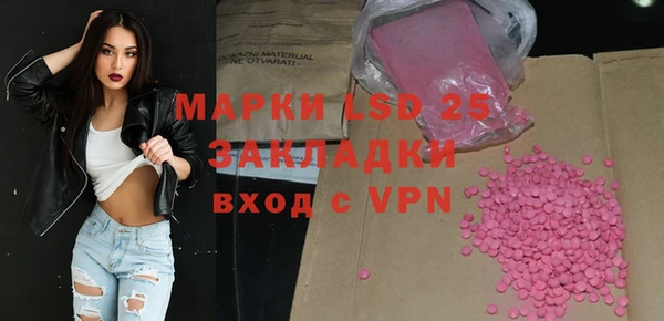 гидра Богородск