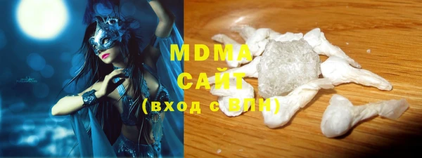 гидра Богородск