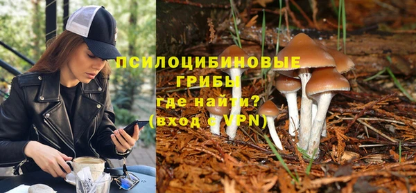 МДПВ Карталы