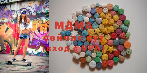 гидра Богородск