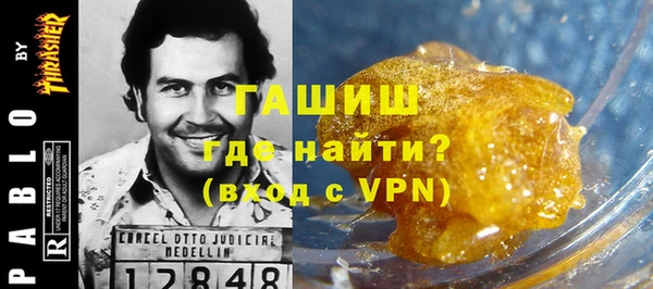 гидра Богородск
