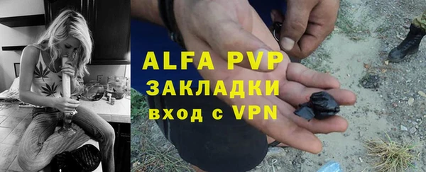 гидра Богородск