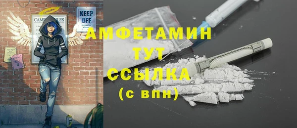 гидра Богородск