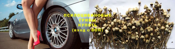 кокаин Богородицк